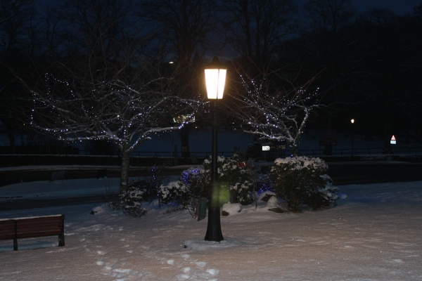 Coronation Lamp Post